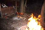 2011_43.jpg 2011_43.jpg