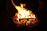 2011_82.jpg 2011_82.jpg