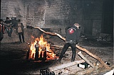 2013_43.jpg 2013_43.jpg