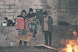 2013_46.jpg 2013_46.jpg