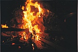 2013_64.jpg 2013_64.jpg