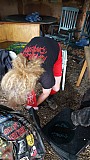 2015_11_29_5.jpg 2015_11_29_5.jpg