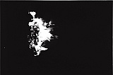 2015_2.jpg 2015_2.jpg