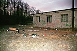 2015_43.jpg 2015_43.jpg