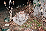 2015_44.jpg 2015_44.jpg