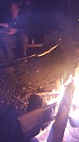 2016#2_6.jpg 2016#2_6.jpg