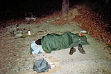 2016_42.jpg 2016_42.jpg